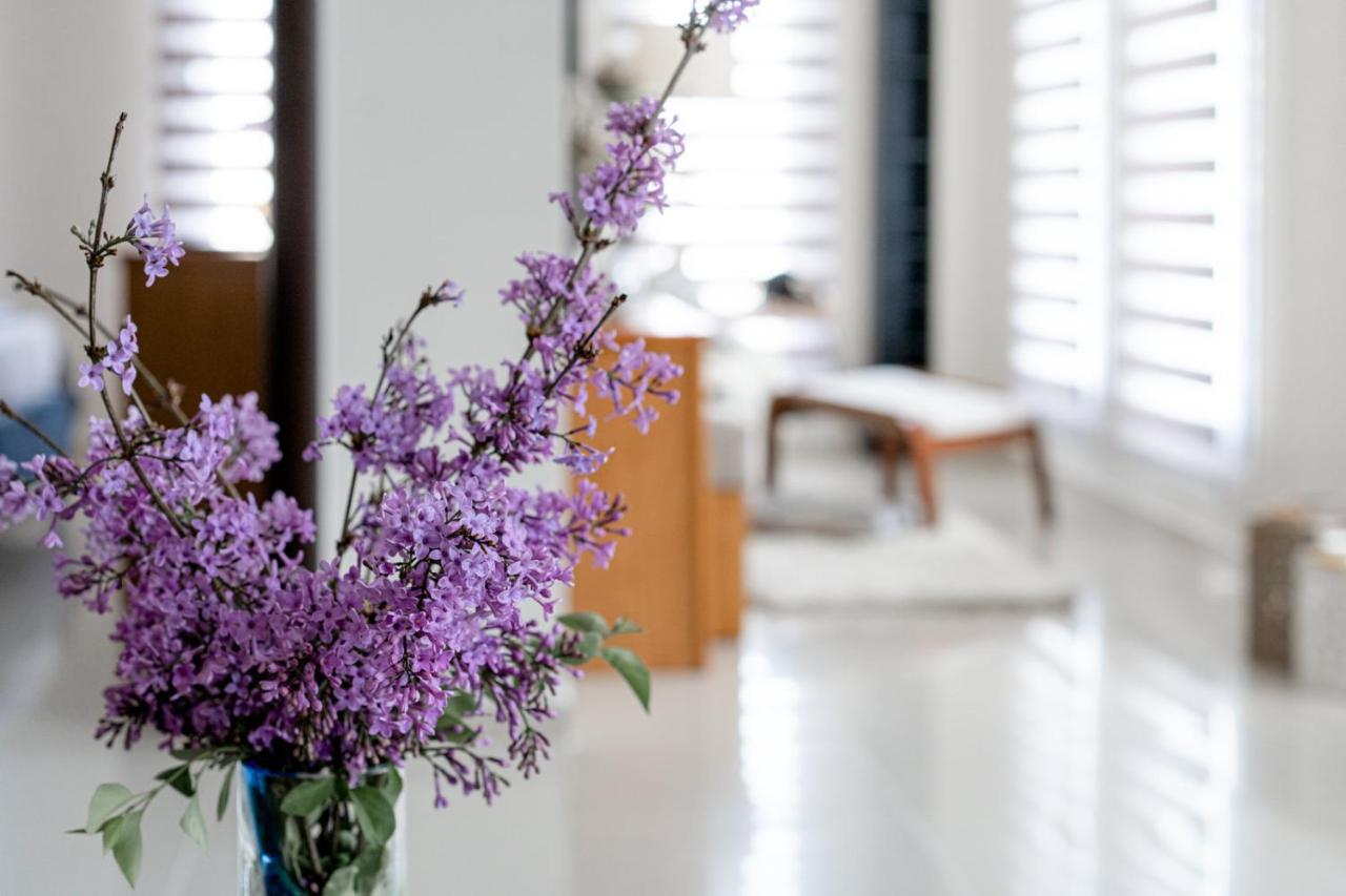 Veria Panorama Luxury Suite With Garden. Ngoại thất bức ảnh